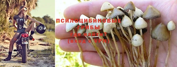 альфа пвп Михайловск