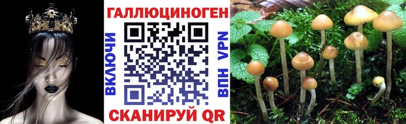 Псилоцибиновые грибы ЛСД  Туран 
